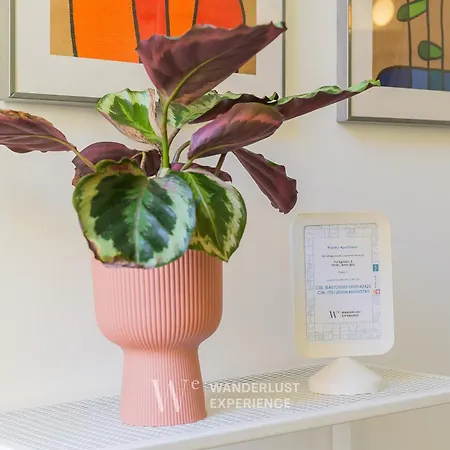 Wanderlust Experience Frankly Апартаменты *